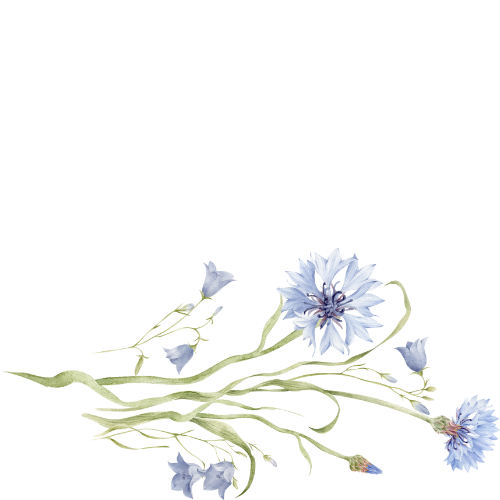 Untitled design (29)